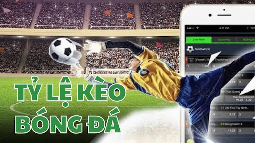 Cá cược bóng đá an toàn