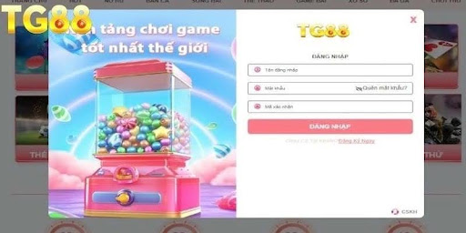Đăng ký TG8 1 Đăng ký TG8 1