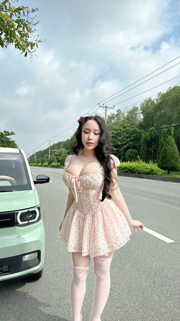 Dương nguyệt cầm 4