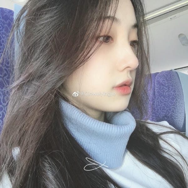 Qinweiyingjie (5)