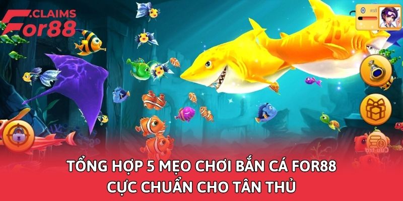 tong hop 5 meo choi ban ca for88 cuc chuan cho tan thu