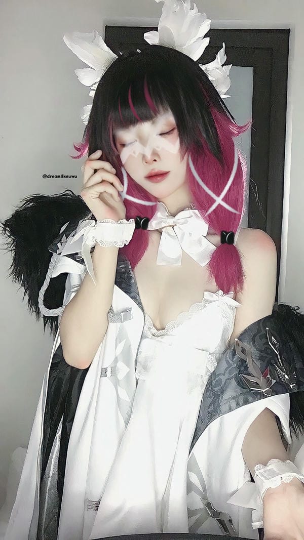 Dreamlikeuwu hoạt động trên nhiều nền tảng mạng xã hội và trang chia sẻ hình ảnh