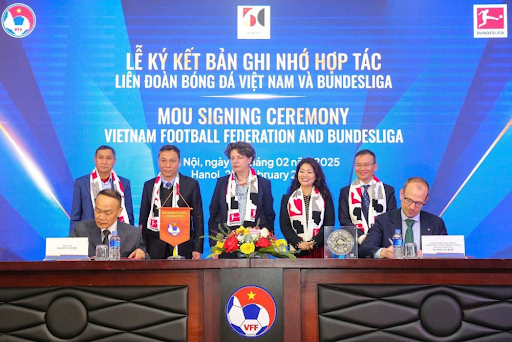 VFF là gì 1 VFF là gì 1