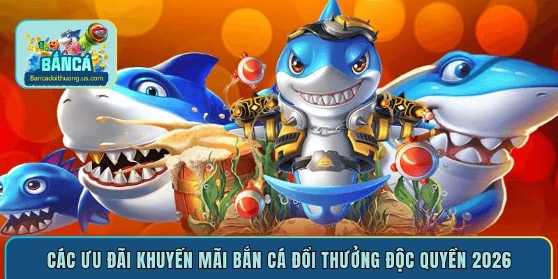 cac uu dai khuyen mai ban ca doi thuong doc quyen 2026 cac uu dai khuyen mai ban ca doi thuong doc quyen 2026