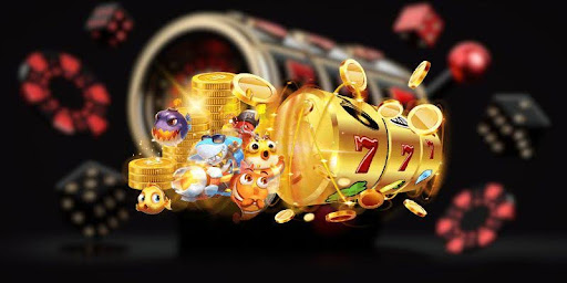 Nổ hũ 555Win 1 Nổ hũ 555Win 1