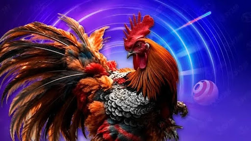 đá gà 23Win 2